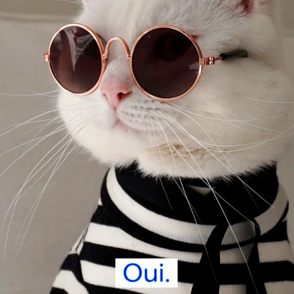 Meet your Posher, Karina